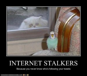 five reasons stalkers don't make good husbands on chezgigi.com